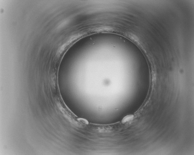 X0000055510345200508262146