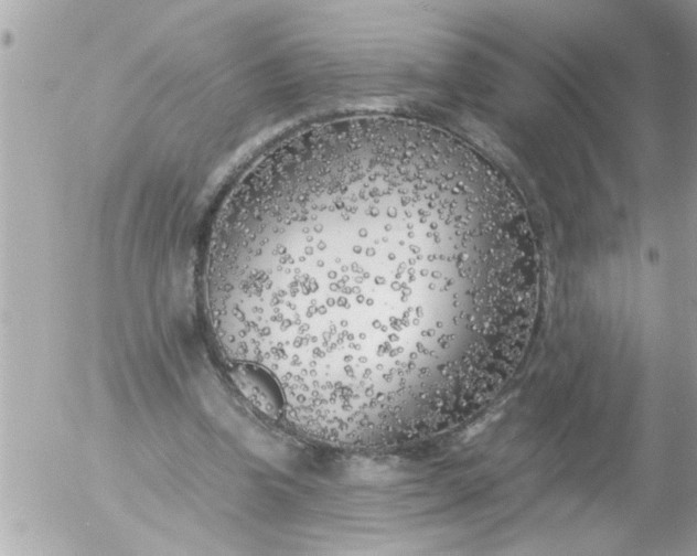 X0000055510346200508262146