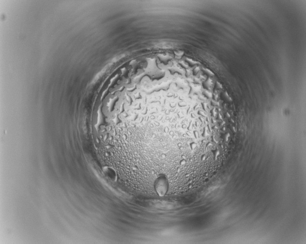 X0000055510347200508262146