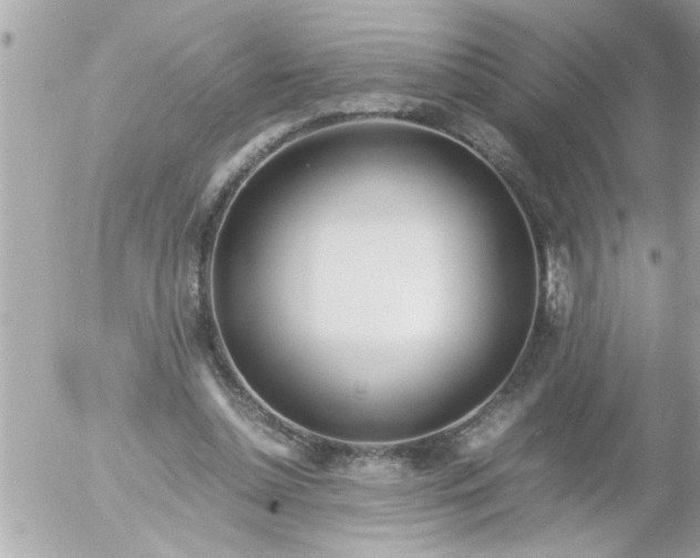 X0000055510348200508262146