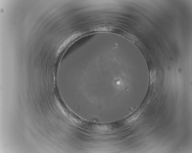 X0000055510349200508262146