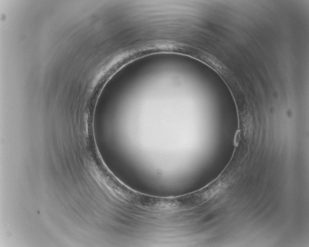 X0000055510350200508262146