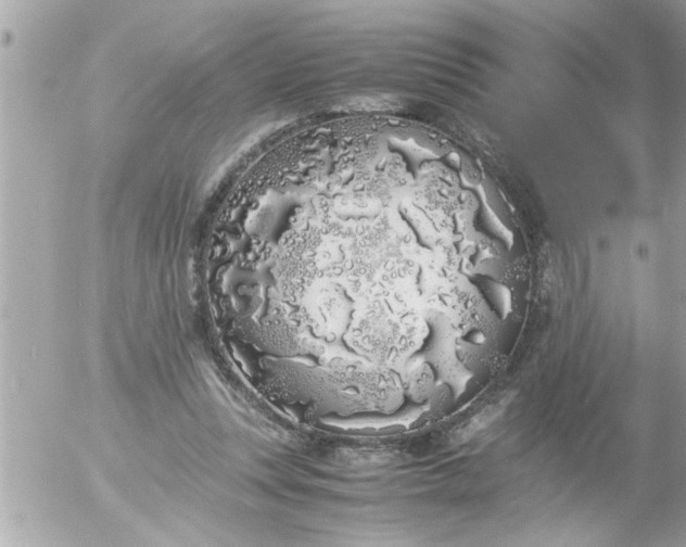 X0000055510351200508262146