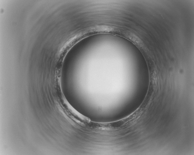 X0000055510352200508262146