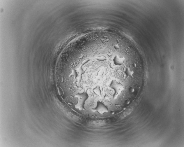 X0000055510353200508262146