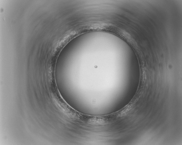 X0000055510354200508262146