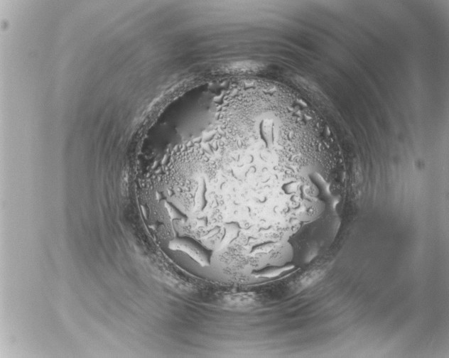 X0000055510355200508262146