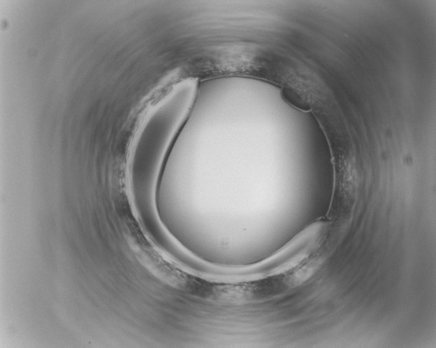 X0000055510356200508262146