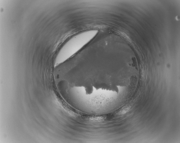 X0000055510357200508262146