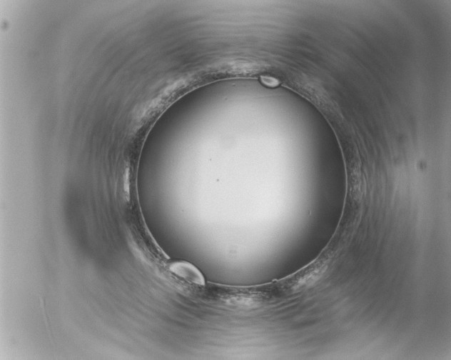 X0000055510358200508262146