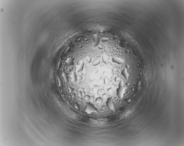 X0000055510359200508262146