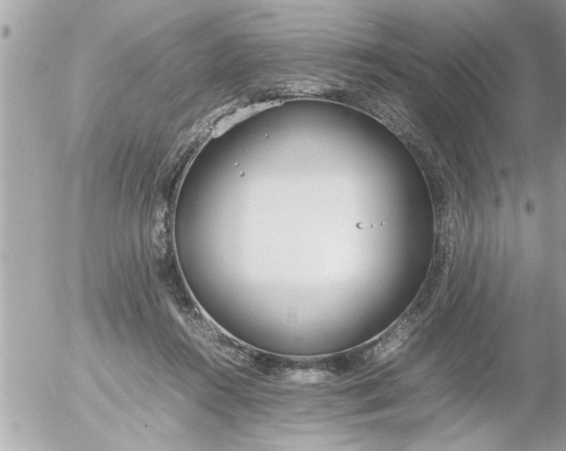 X0000055510360200508262146