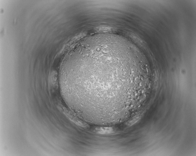 X0000055510361200508262146