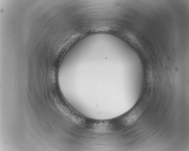 X0000055510362200508262146