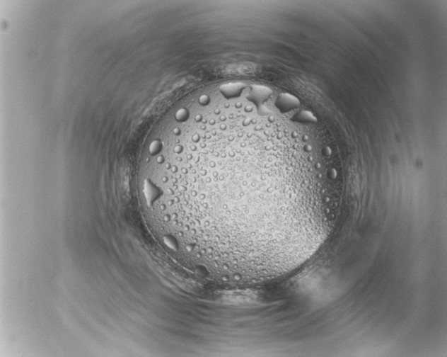 X0000055510363200508262146