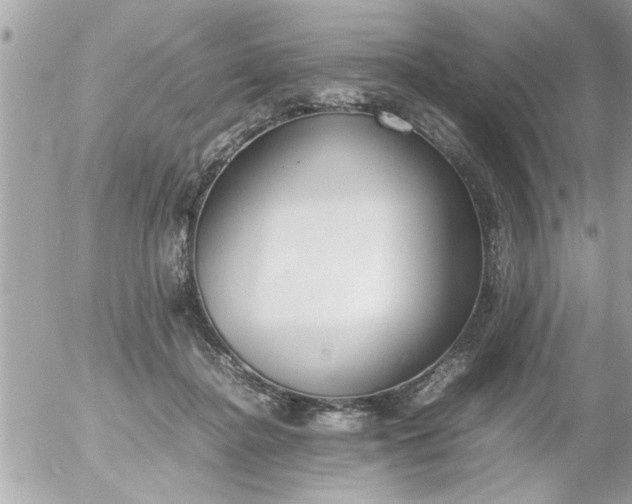 X0000055510364200508262146