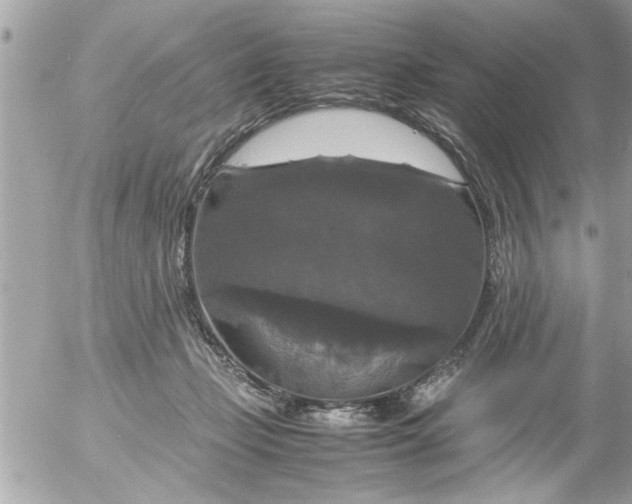 X0000055510365200508262146