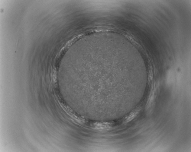 X0000055510367200508262146