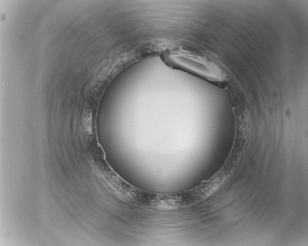 X0000055510368200508262146