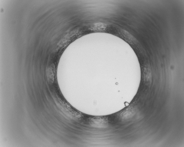 X0000055510370200508262146