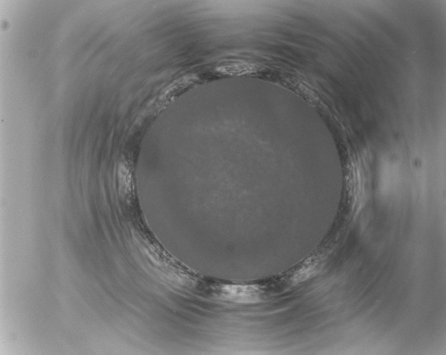 X0000055510371200508262146