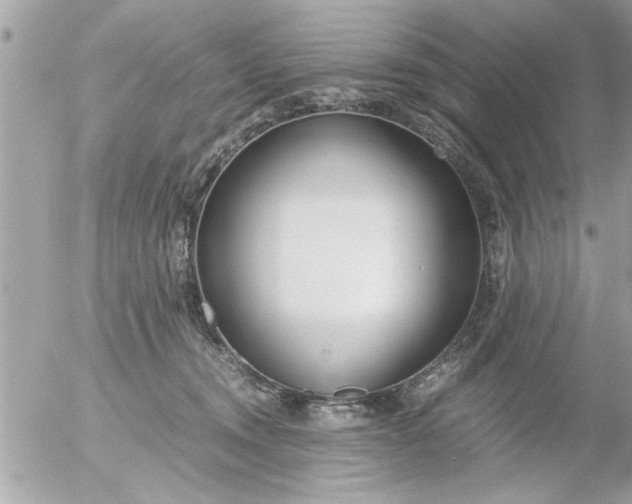 X0000055510372200508262146