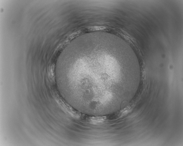 X0000055510373200508262146