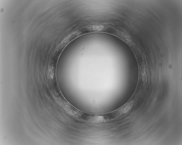 X0000055510374200508262146