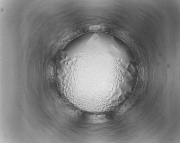 X0000055510375200508262146