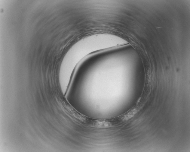 X0000055510376200508262146