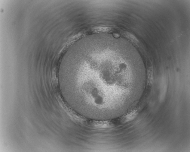 X0000055510377200508262146