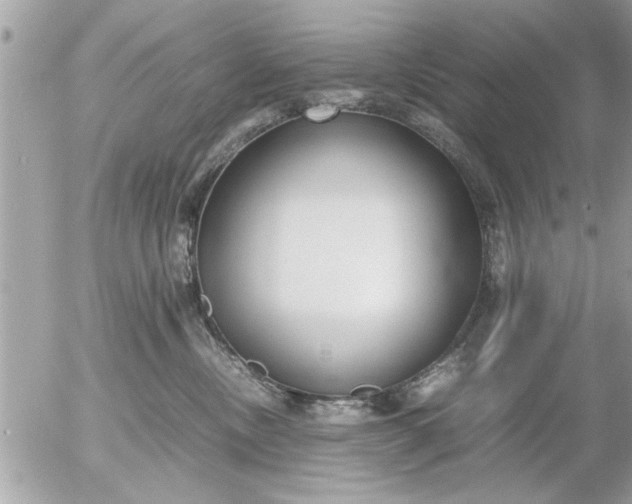 X0000055510378200508262146