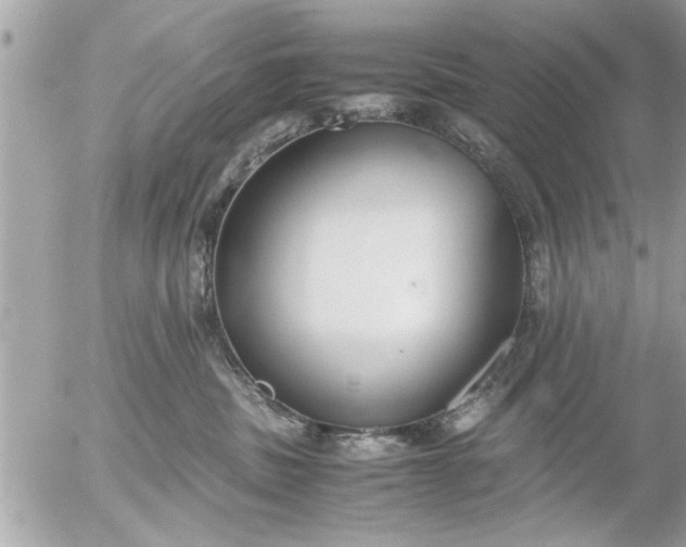 X0000055510379200508262146