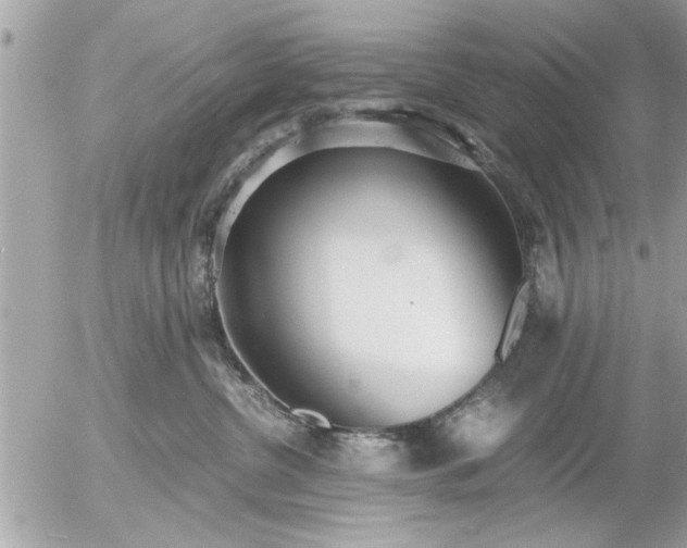 X0000055510380200508262146