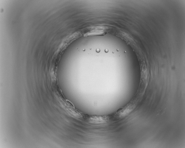 X0000055510381200508262146