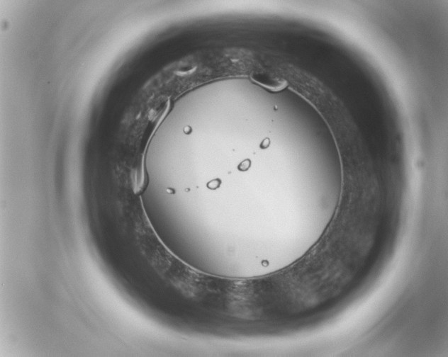 X0000055510382200508262146