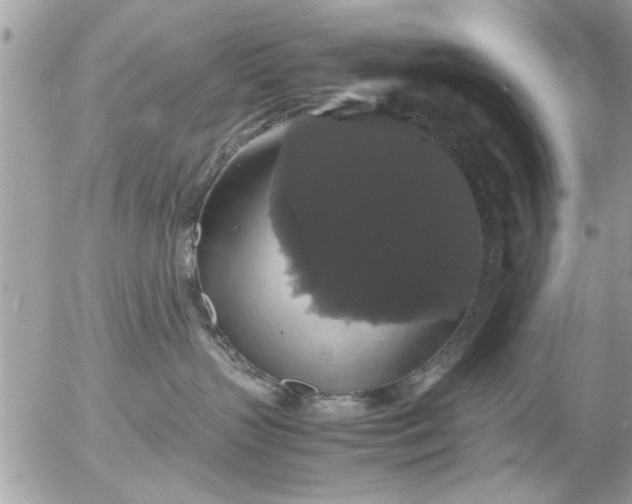 X0000055510383200508262146