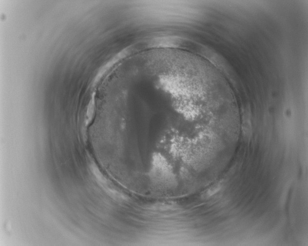 X0000055510386200508262146