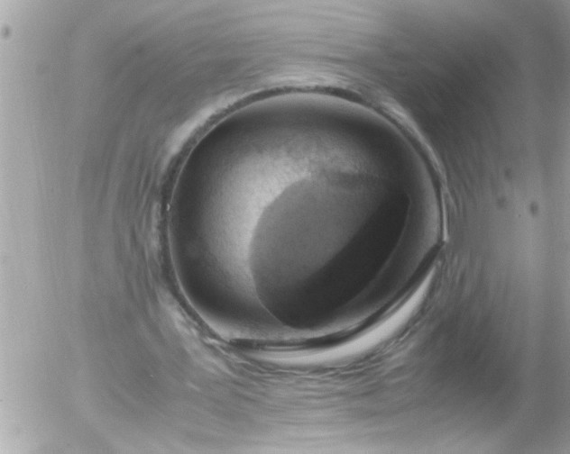 X0000055510387200508262146