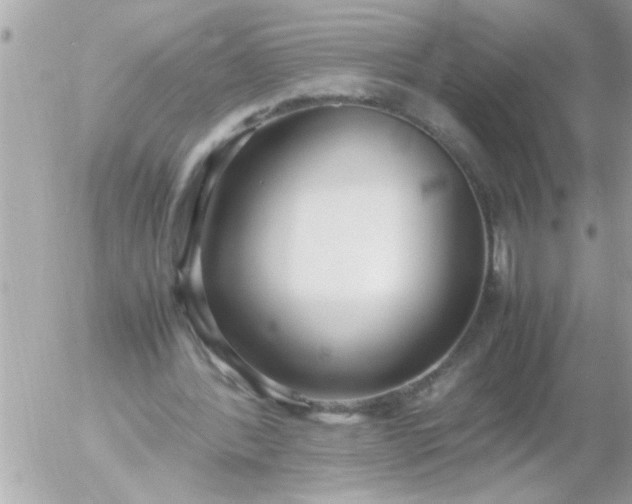 X0000055510388200508262146