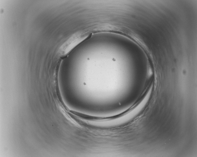 X0000055510389200508262146