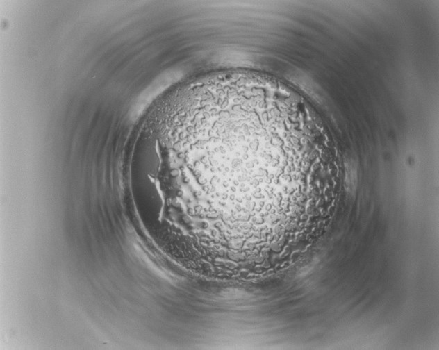 X0000055510390200508262146