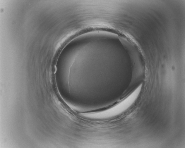 X0000055510391200508262146