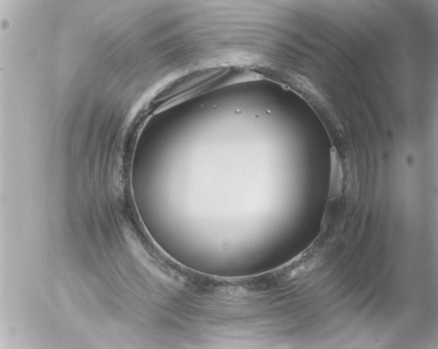 X0000055510392200508262145