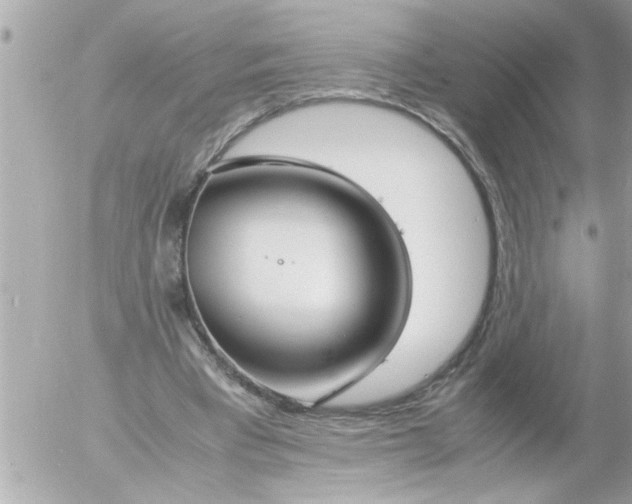 X0000055510393200508262145