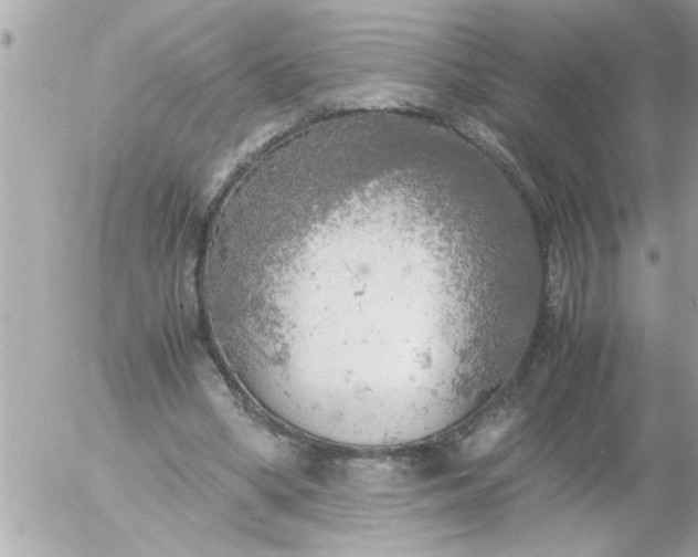 X0000055510394200508262145