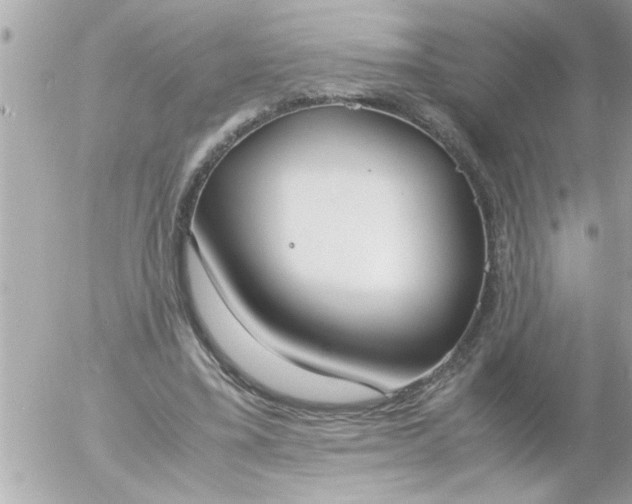 X0000055510395200508262145