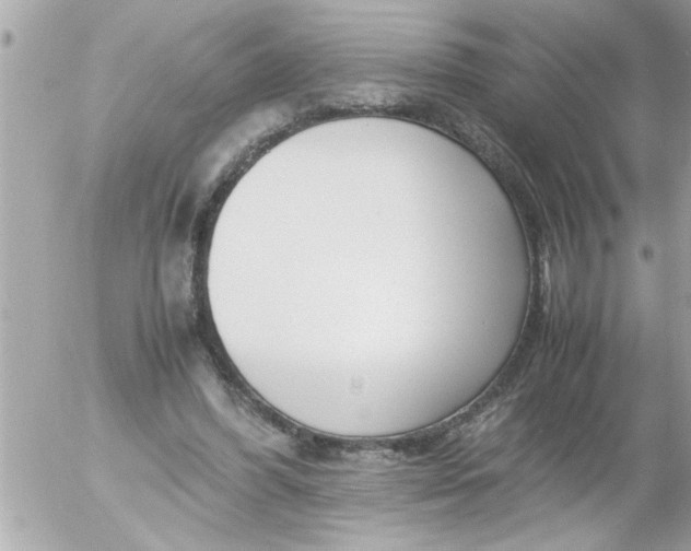 X0000055510396200508262145