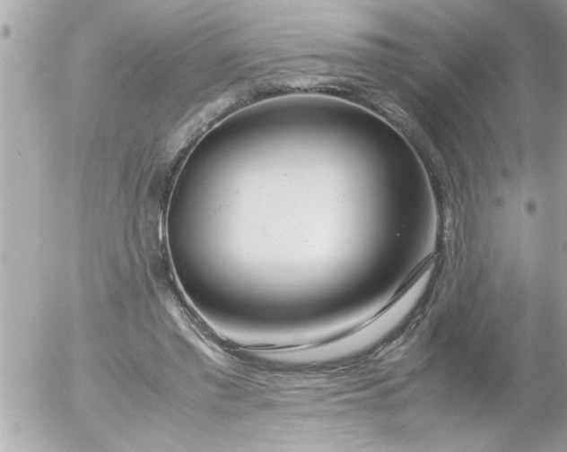 X0000055510397200508262145