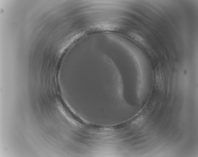 X0000055510398200508262145